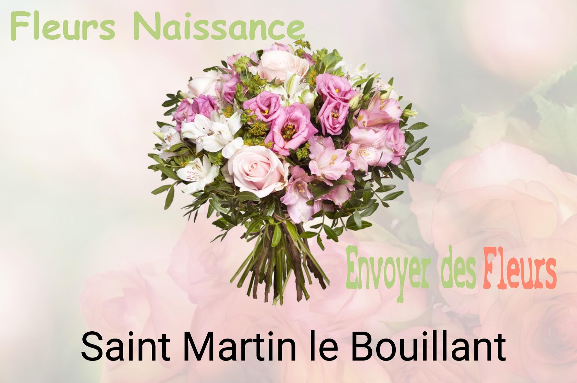 Bouquet de fleurs de naissance livré à Saint-Martin-le-Bouillant